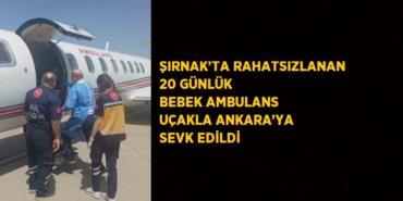 29117296702030622472