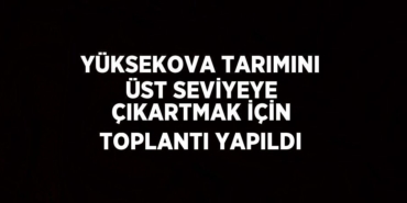 29119203922254927815tasarimli