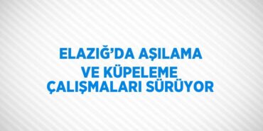 29120302433123124406tasarimli