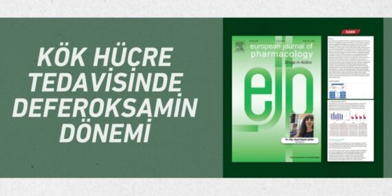 KÖK HÜCRE TEDAVİSİNDE DEFEROKSAMİN DÖNEMİ