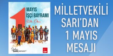 29124242322782821629