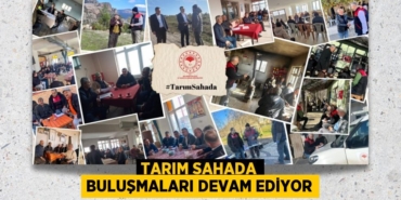 29129254402133320871tasarimli