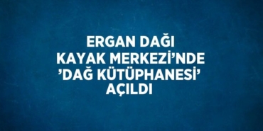 29131277753047925500tasarimli
