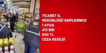 29132285362284129429
