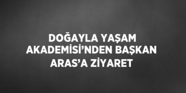 29133310432687226600tasarimli