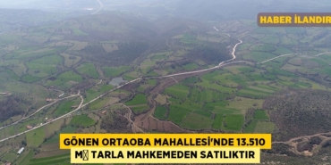 29136256232899320406tasarimli