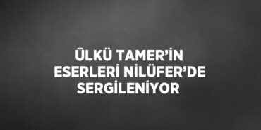 29138316772212024482tasarimli