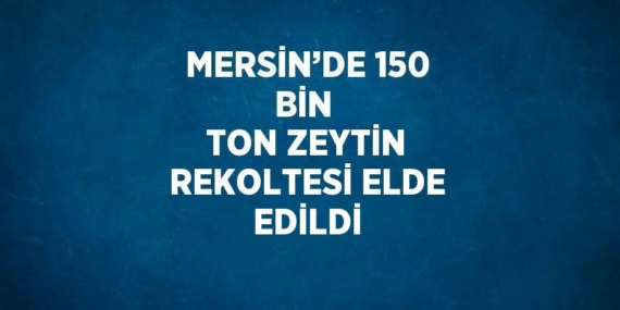 MERSİN’DE 150 BİN  TON ZEYTİN REKOLTESİ ELDE EDİLDİ