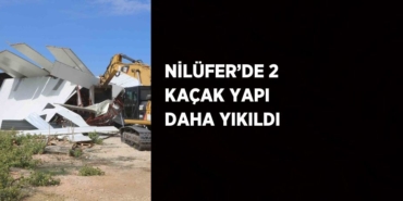 29140231542652521556