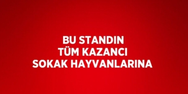 29141281072063620670tasarimli