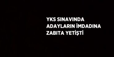 29142207282080426981