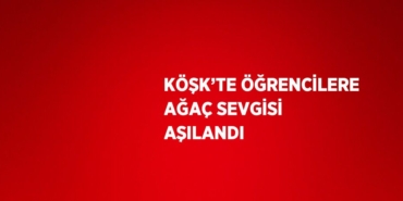 29142315902052731802