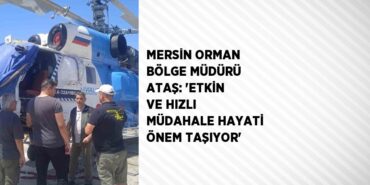 29145296523092423466