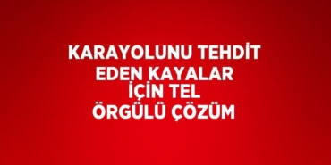 29147205802228624520tasarimli
