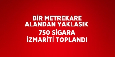 29147206542959028728tasarimli