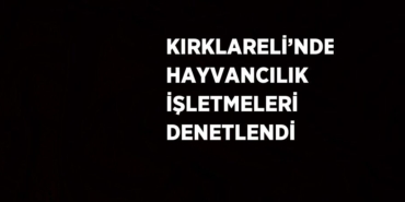 29148262073103629525