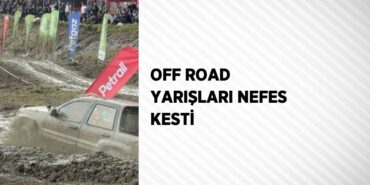 29161233452946724224