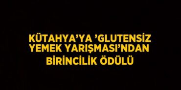 29166269332283831291tasarimli