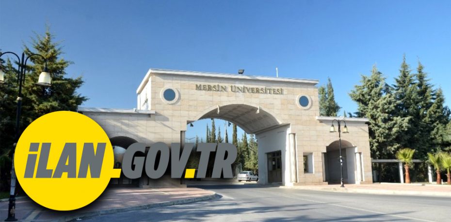 29169260432826324385