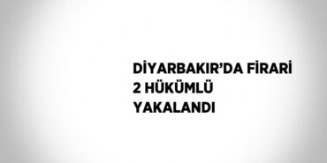 29169286462945828897