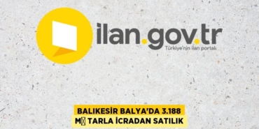 29175229252486229143tasarimli