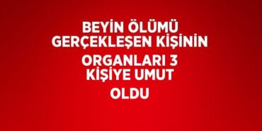 29176261282367321639tasarimli