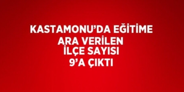 29177291722256821211tasarimli
