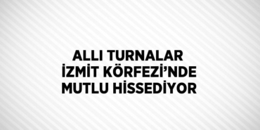 29178282232148427477tasarimli