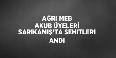 29184235472006631899tasarimli