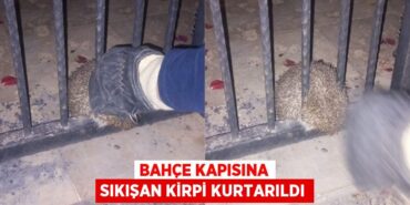 29193228182019726285tasarimli
