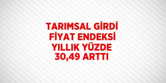 TARIMSAL GİRDİ FİYAT ENDEKSİ YILLIK YÜZDE 30,49 ARTTI