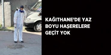 29204305462011520644