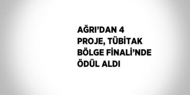 29205222112926323388