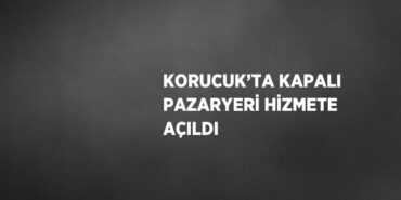 29206207642673328795