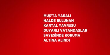 29211295092465529257