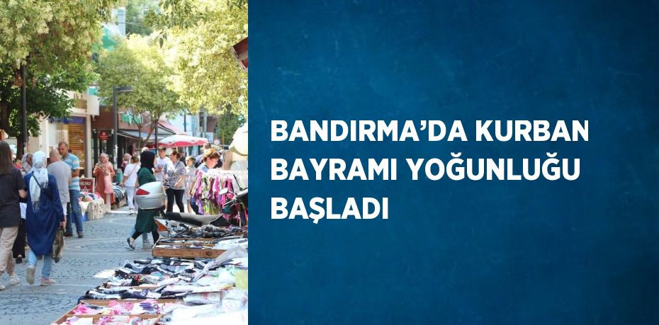 29211305362291820261