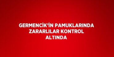 29222268202459227617tasarimli