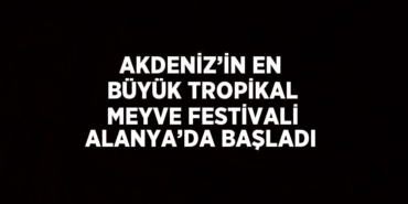 29225229092642825081tasarimli