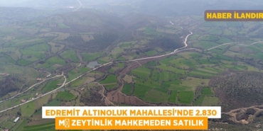 29231285242024823351tasarimli