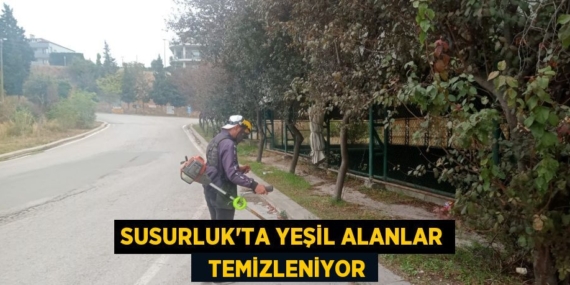 SUSURLUK’TA YEŞİL ALANLAR   TEMİZLENİYOR