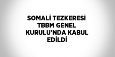 29238218312382226408tasarimli