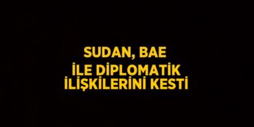 29239267513054130247tasarimli