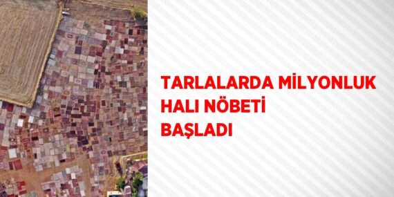 TARLALARDA MİLYONLUK HALI NÖBETİ BAŞLADI