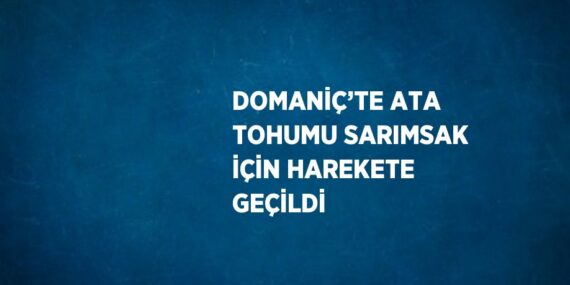 DOMANİÇ’TE ATA TOHUMU SARIMSAK İÇİN HAREKETE GEÇİLDİ