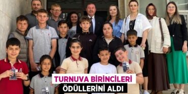 29244234842598227119tasarimli