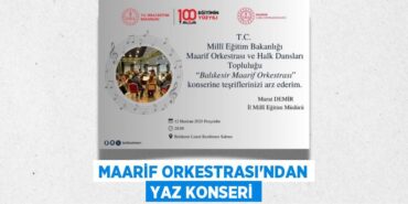 29247247402900225669tasarimli