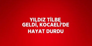 29249212862130421605tasarimli