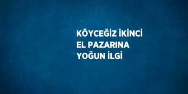 29250311812153621562