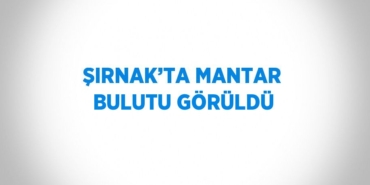 29252237122845929417tasarimli