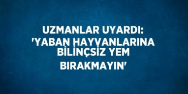 29255245422957231431tasarimli